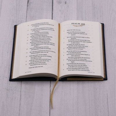 NIV Psalms and Proverbs, Comfort Print--imitation leather navy over board