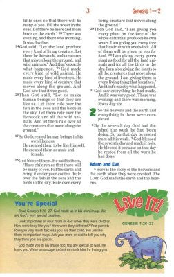 NIrV Adventure Bible for Early Readers