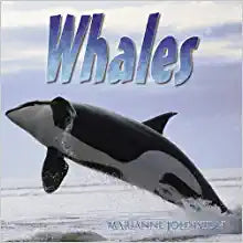 Whales (Underwater World) Paperback