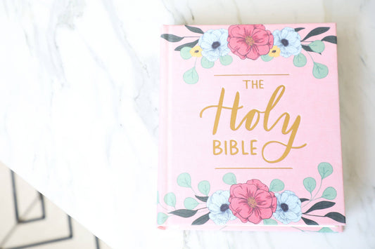 Wheat and Honey Co. - The Holy Bible - Blush, ESV Journaling Bible