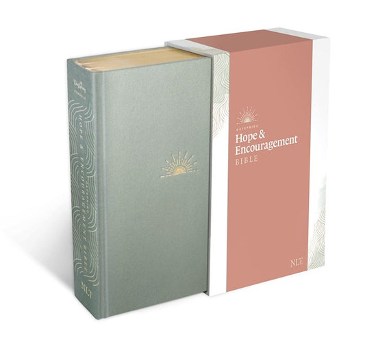 NLT Dayspring Hope & Encouragement Bible-Seafoam Green Hardcover