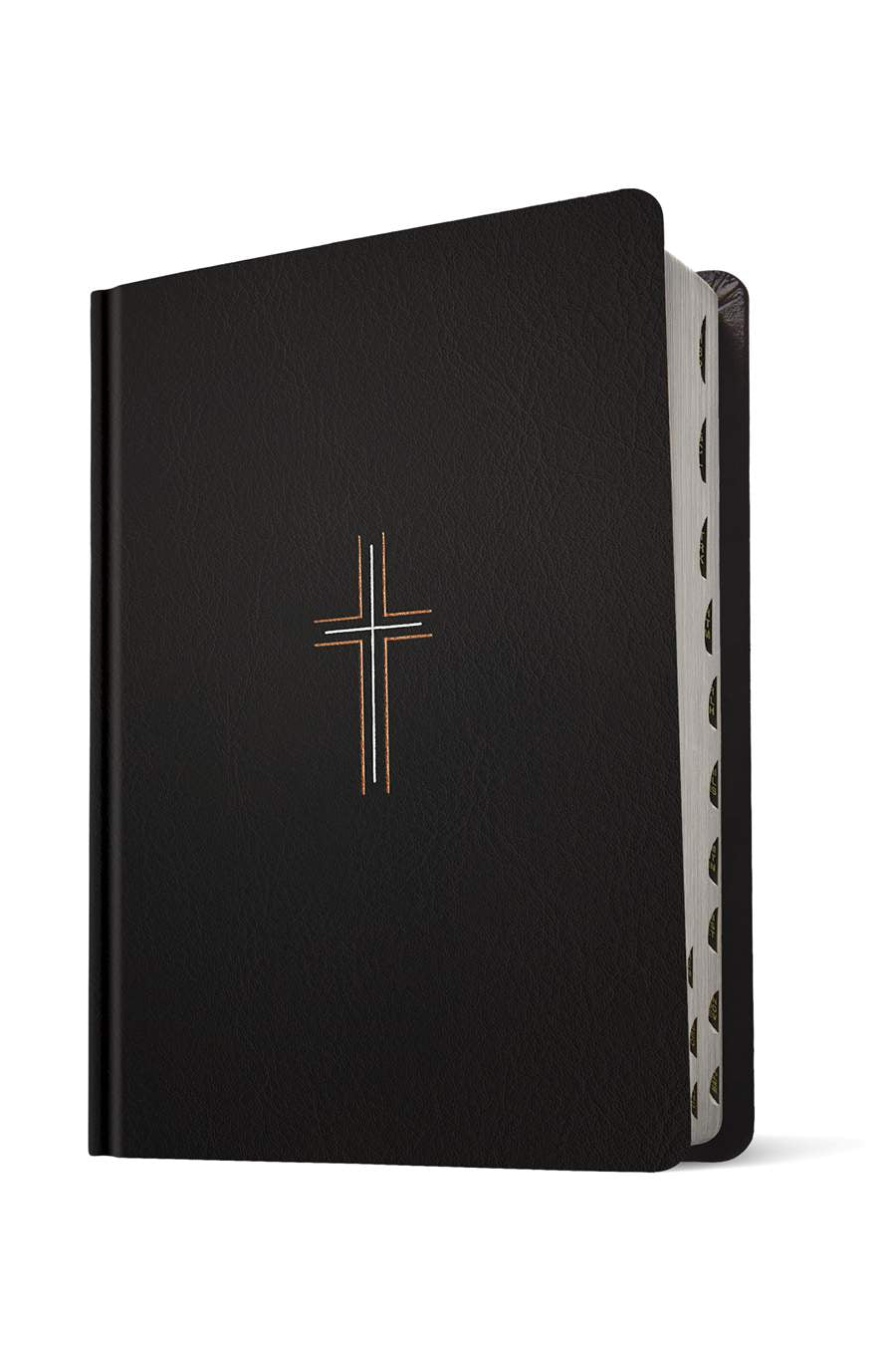 NLT Wide Margin Bible, Filament Enabled Edition