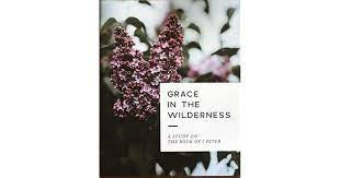 GRACE IN THE WILDERNESS | 1 PETER STUDY