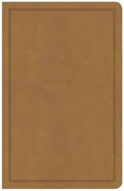 CSB Deluxe Gift Bible, Tan; LeatherTouch