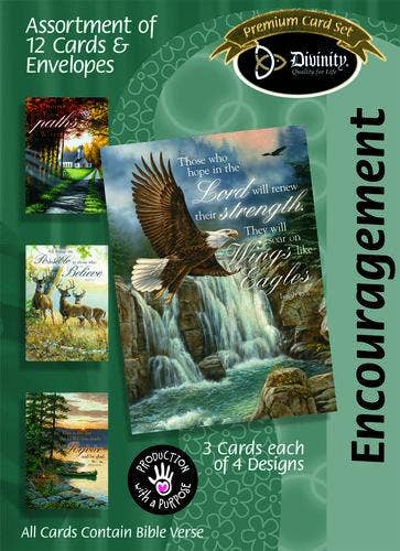 Divinity Boutique - Boxed Cards: Encouragement, Nature Retreat