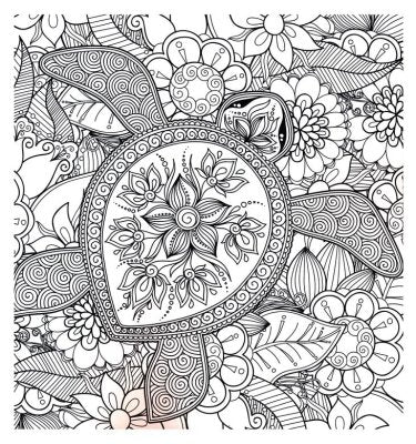 Shine, Coloring Book For Adults