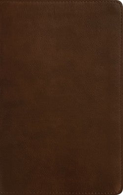 NLT Thinline Reference Bible, Filament Enabled Edition--soft leather-look