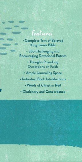 KJV Daily Wisdom for Teen Girls Devotional Bible--printed cloth hardcover
