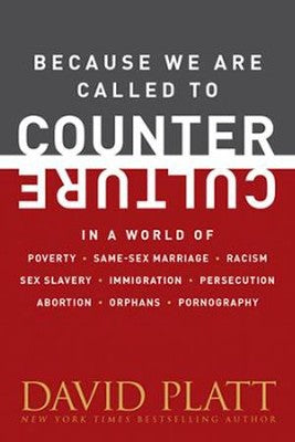 Because We Are Called to Counter Culture in a World of Poverty, Same-Sex Marriage, Racism, Sex Slavery, Immigration