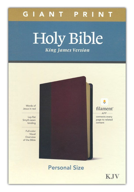 KJV GIANT-PRINT PERSONAL-SIZE BIBLE, FILAMENT ENABLED EDITION--SOFT LEATHER-LOOK