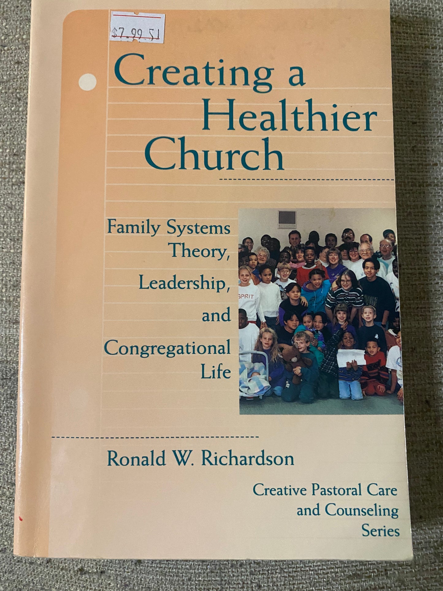 Creating a Healthier Church: Family Systems Theory, Leadership and Congregational Life (Creative Pastoral Care and Counseling Series) Paperback – August 1, 1996